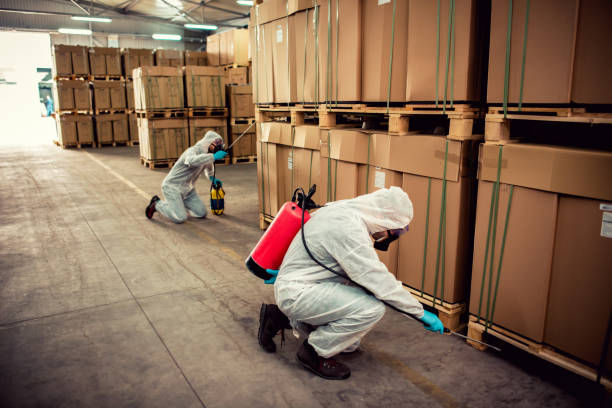 Best Pest Removal Services  in Vermilion, OH
