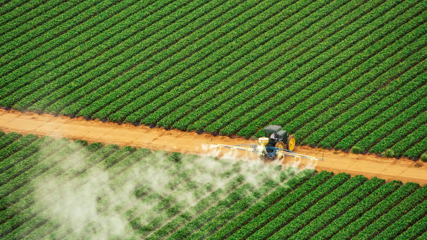 Best Pest Control for Homes  in Vermilion, OH
