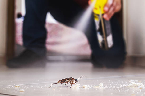 Pest Control Cost in Vermilion, OH