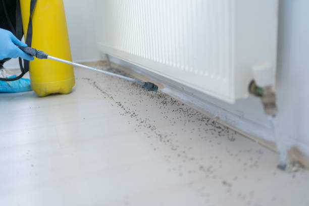 Best Termite Control Services  in Vermilion, OH